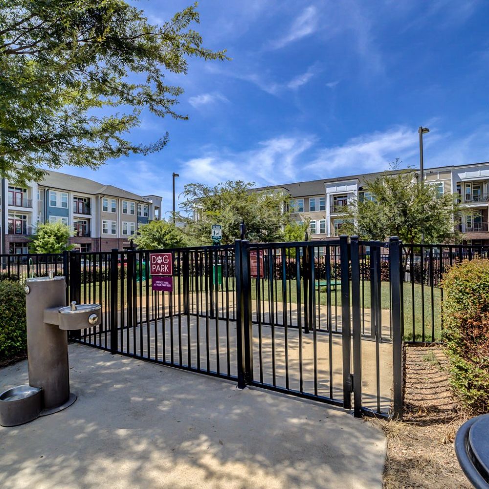 Apartments at Holly Crest outdoor dog park with dog training equipment
